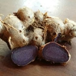 Black Ginder - Able Food Products
